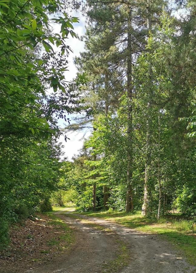 Camping De La Chagnee Saint-Aubin-le-Cloud المظهر الخارجي الصورة