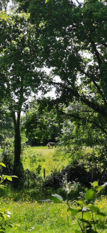 Camping De La Chagnee Saint-Aubin-le-Cloud المظهر الخارجي الصورة