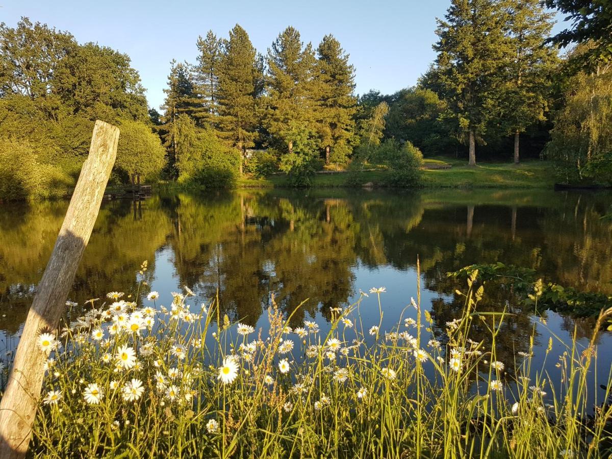 Camping De La Chagnee Saint-Aubin-le-Cloud المظهر الخارجي الصورة