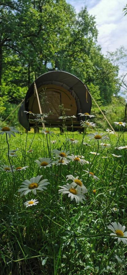 Camping De La Chagnee Saint-Aubin-le-Cloud المظهر الخارجي الصورة
