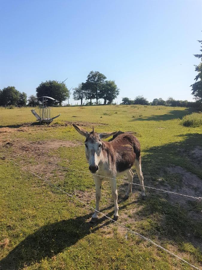 Camping De La Chagnee Saint-Aubin-le-Cloud المظهر الخارجي الصورة